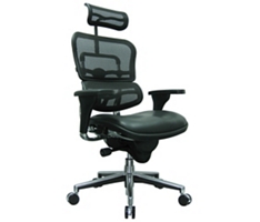 Ergohuman High Mesh Back Leather Seat Executive Chair with Headrest