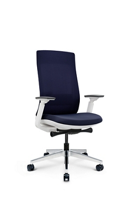 Elevate Mesh-Back Office Chair with White Frame