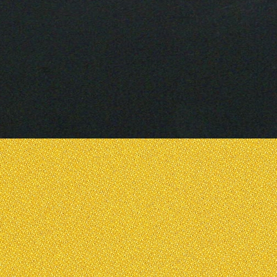 Black/Origin Eureka Fabric