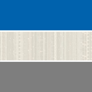 Persian Blue/High Rise/Platinum Base