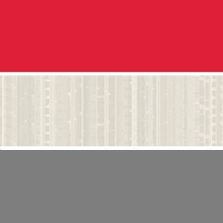 Red/High Rise/Platinum Base