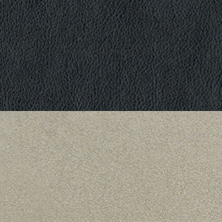 Black Castillo Vinyl/Metallic Beige Frame