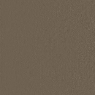 Chocolate Truffle
