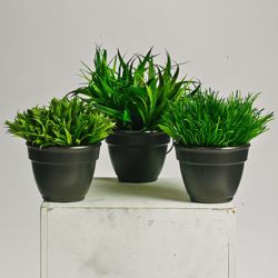 Potted Grass - 8 Inches Tall - Set of 3
