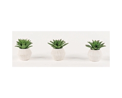 Succulent Accents - Set of Three