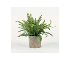 Boston Fern Greenery - 17"
