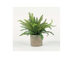 Boston Fern Greenery - 17"