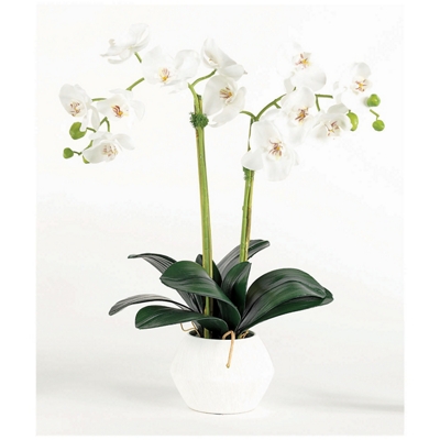 White Orchid - 24"