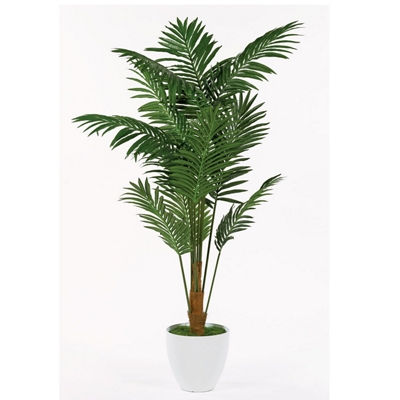 Palm Floor Plant - 6.5 Ft.