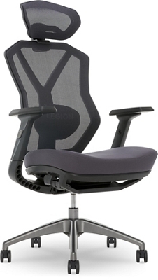 Lenovo Legion Gaming/Executive Mesh Chair