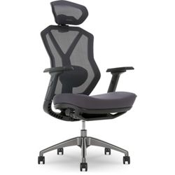 Lenovo Legion Gaming/Executive Mesh Chair