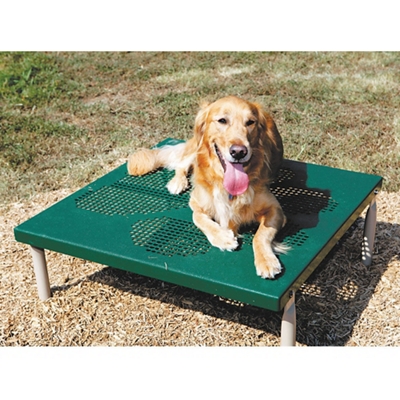 Paws Grooming Table