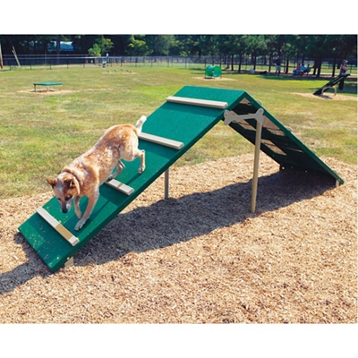 King of the Hill Dog Park Exercise A-Frame