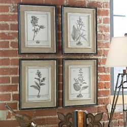 Floral Framed Prints, Set of Four
