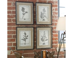 Floral Framed Prints, Set of Four