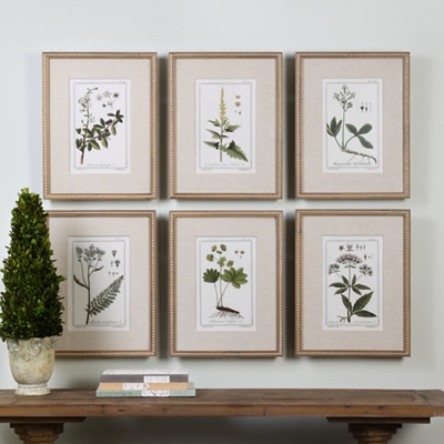 Botanical Framed Prints, Set of Six