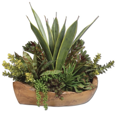 Succulents Centerpiece in Teak Bowl