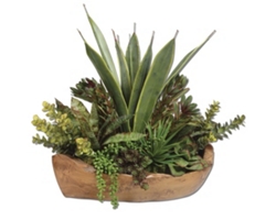 Succulents Centerpiece in Teak Bowl