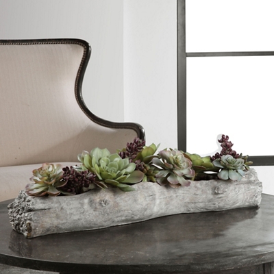 Driftwood Succulents