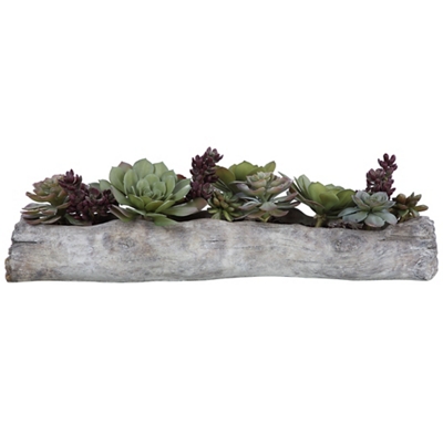 Green/Burgundy/Solid Concrete