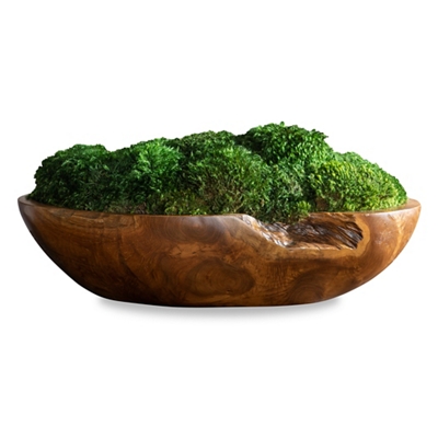 Preserved Moss/Teak Bowl