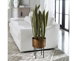 Snake Plant in Brass Planter