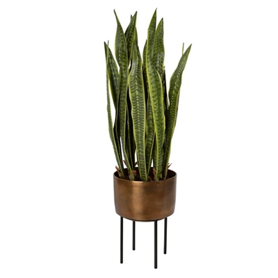 Antique Brass/Matte Black Metal/Green