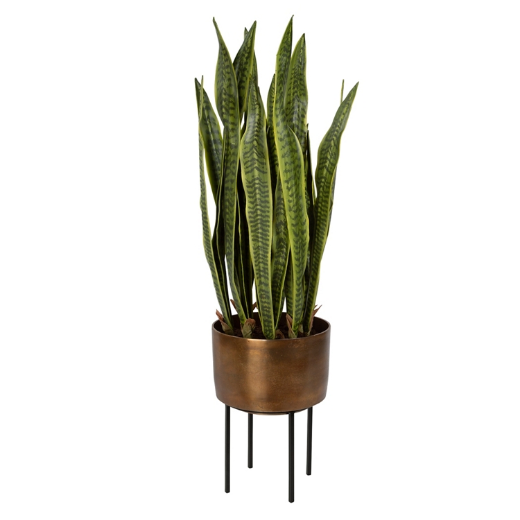 Fasita Brass Planter 2 Cartons - Uttermost