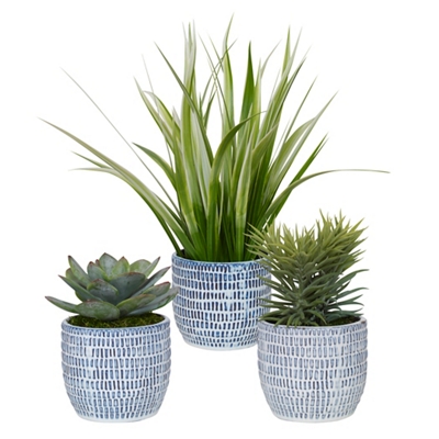Green/Preserved Moss/Carved Blue and White Ceramic Planters
