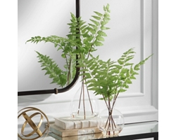Ferns in Vases, Set of Two