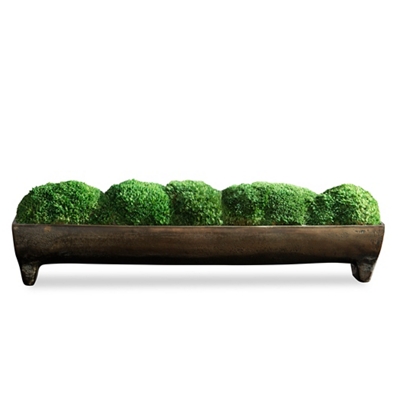 Preserved Moss/Oxidized Bronze Aluminum Tray