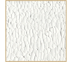 Mother of Pearl 1 Wall Art