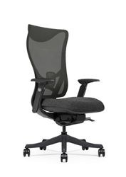 Raleigh High-Back Chair w/ Mesh Back and Fabric Seat