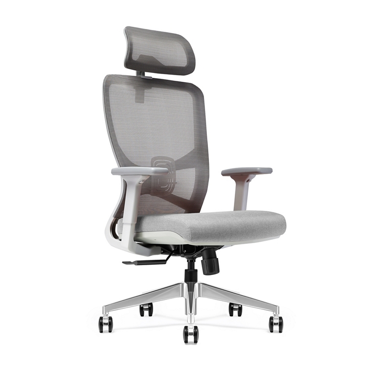 Ensley Mesh High-Back Office Chair with Headrest