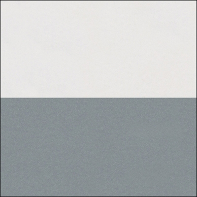 White Top/Silver Frame