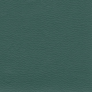 Deep Sea