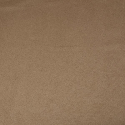 Buckskin
