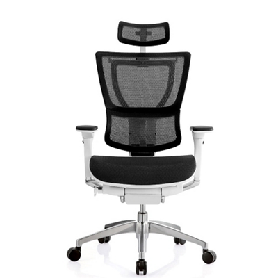 Mesh Executive Chair with Headrest