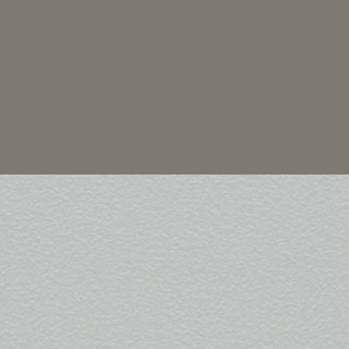 Warm Gray/Gray