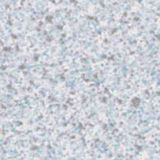 Gray Granite