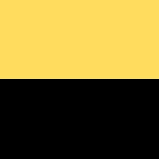 Yellow/Black