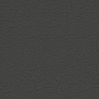 Charcoal Gray
