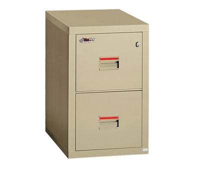 Two Drawer Vertical Fireproof File