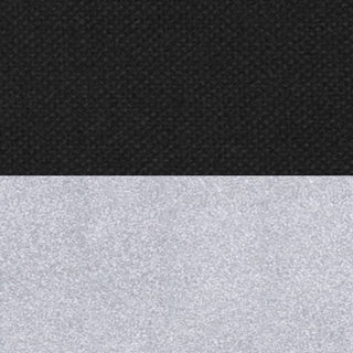 Black/Silver