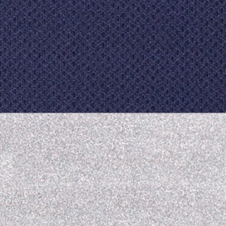 Blue/Silver