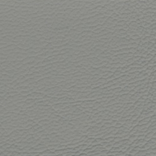 Gray Vinyl