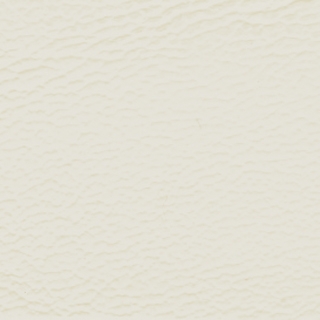 White Vinyl