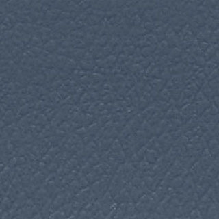 Dusty Blue