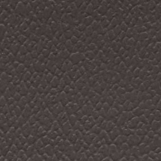 Warm Gray