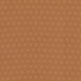 Penny